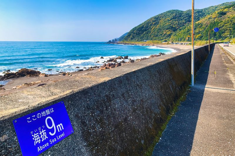 津波や地盤沈下の被害をカバーする重要性